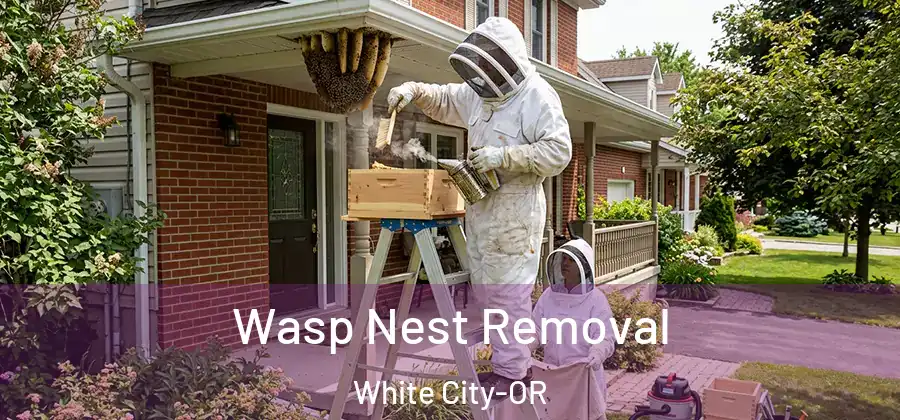 Wasp Nest Removal White City-OR