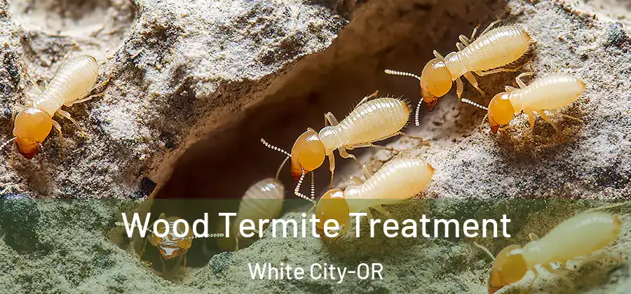Wood Termite Treatment White City-OR
