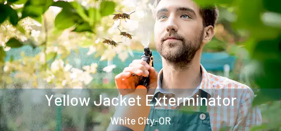  Yellow Jacket Exterminator White City-OR