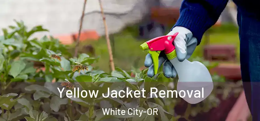Yellow Jacket Removal White City-OR